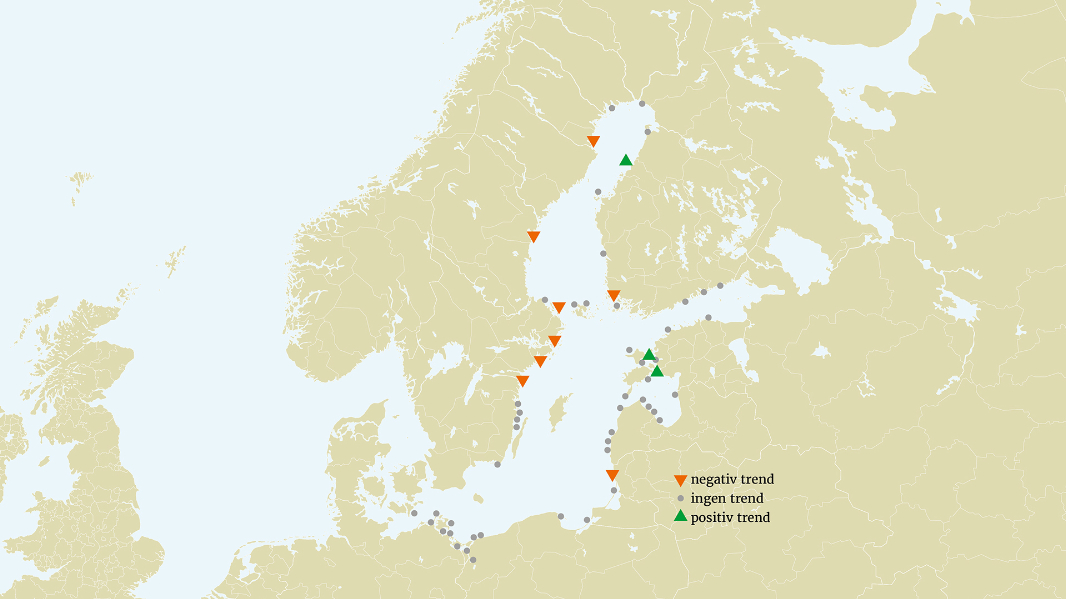 En karta som visar trender i förekomst hos gädda i Östersjön