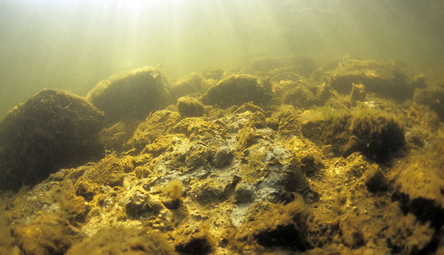 Bild Östersjösediment - källa och fälla för metallföroreningar
