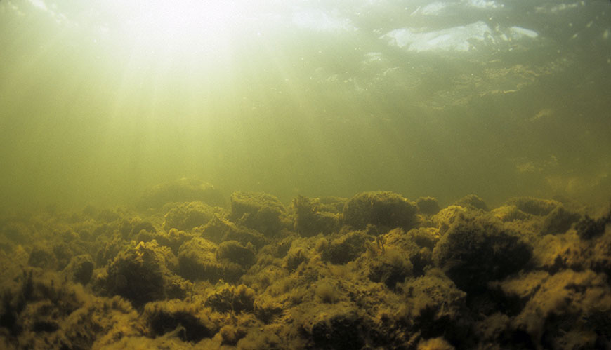 Artikelbild Contaminants in Swedish offshore sediments 2003–2021