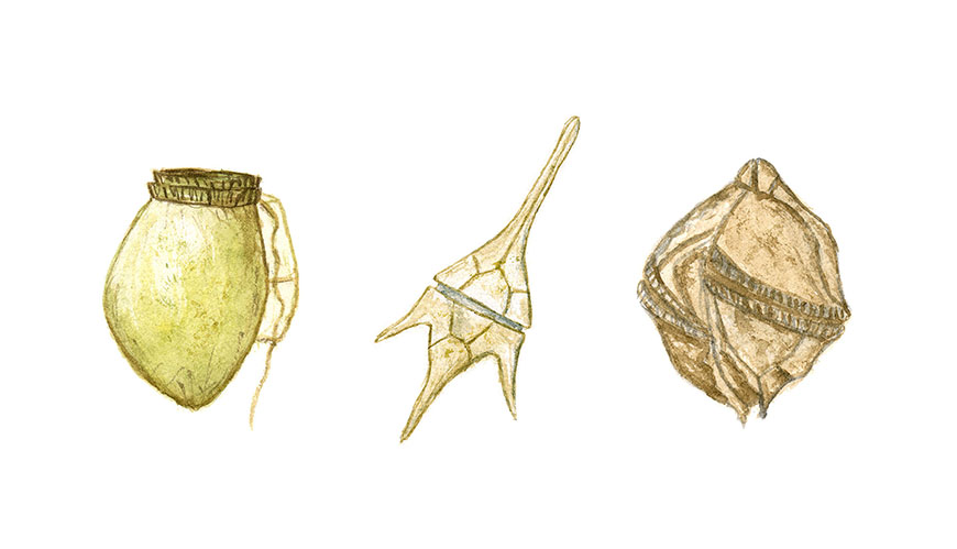 Artikelbild
