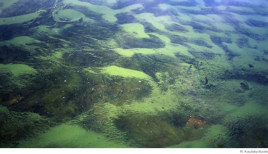 Bild Långtida miljöförändringar och mänsklig påverkan spårade i sedimenten från kustområden i nordvästra Östersjön