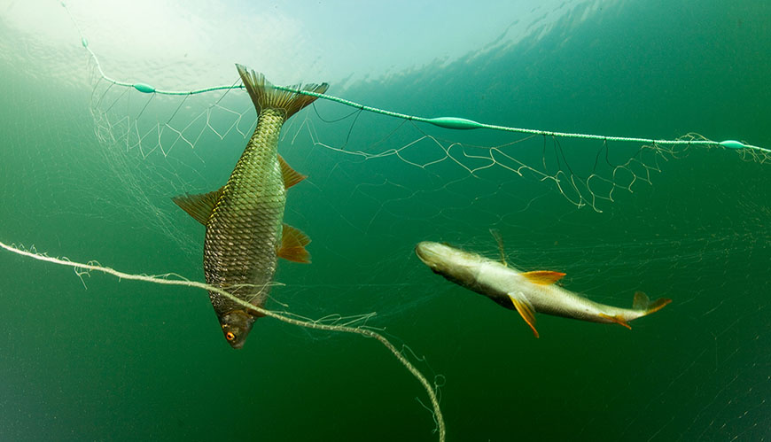 Bild Fiskare får betalt för att städa havet