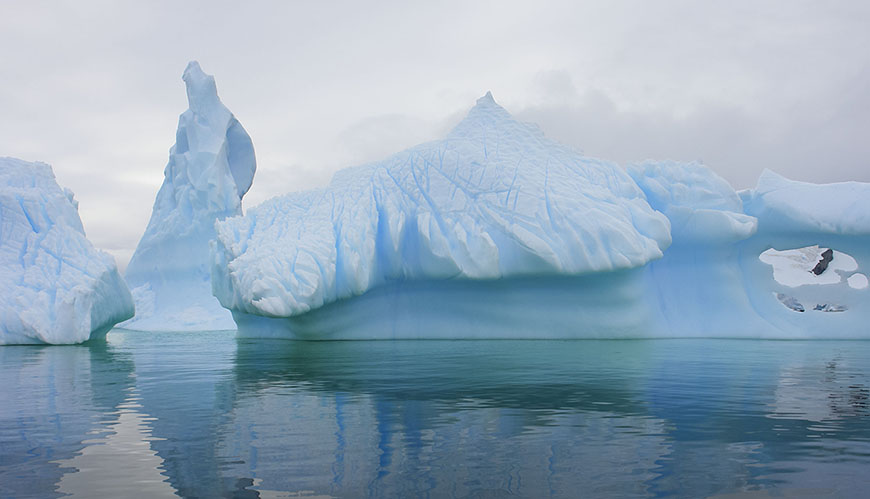 Bild Invasiva arter kan spridas till Antarktis