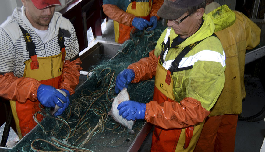 Bild Fiskerådgivning håller kvalitén – än så länge