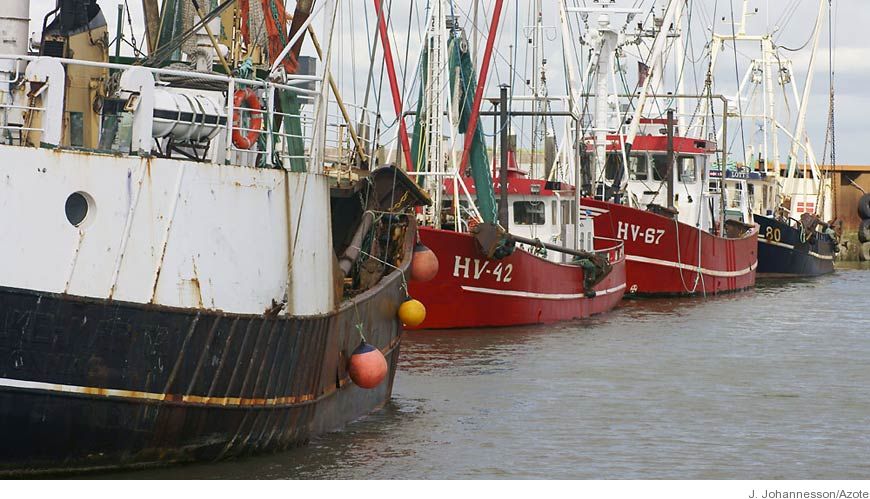 Bild Svenska yrkesfiskare har tjänat på EU