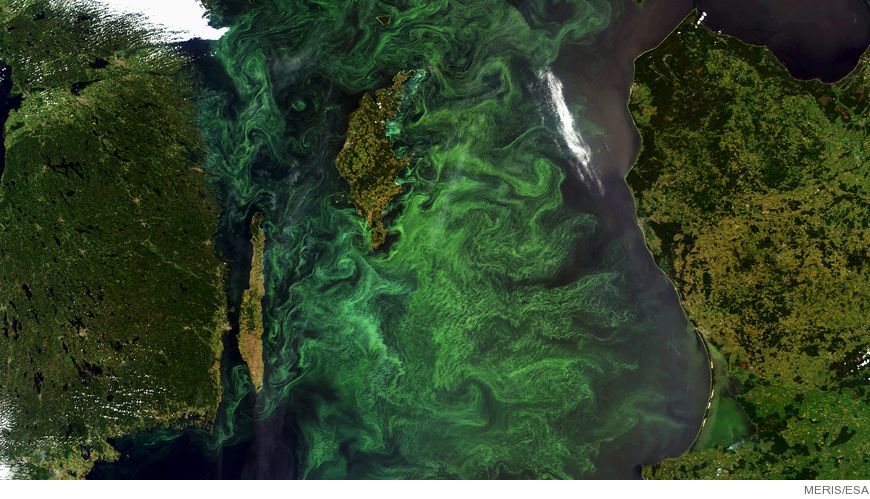 Bild Östersjön från rymden: användning av vattnets färg för att förbättra vår förståelse för ekologiska drivkrafter i Östersjön