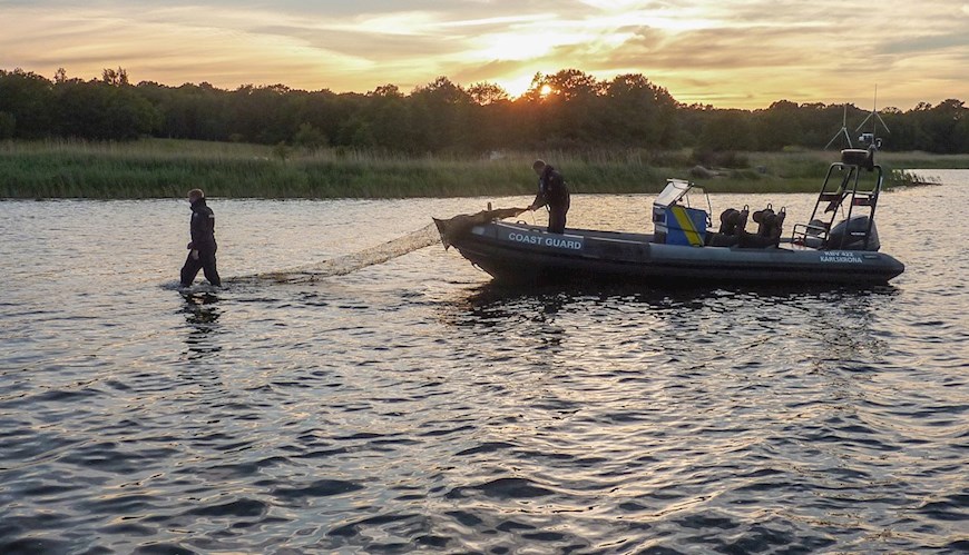 Bild Skarp kritik mot ålens förvaltningsplan