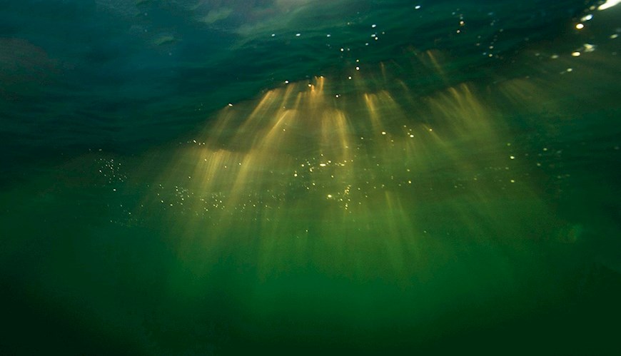 Bild EU vill stoppa Norges djuphavsgruvor 