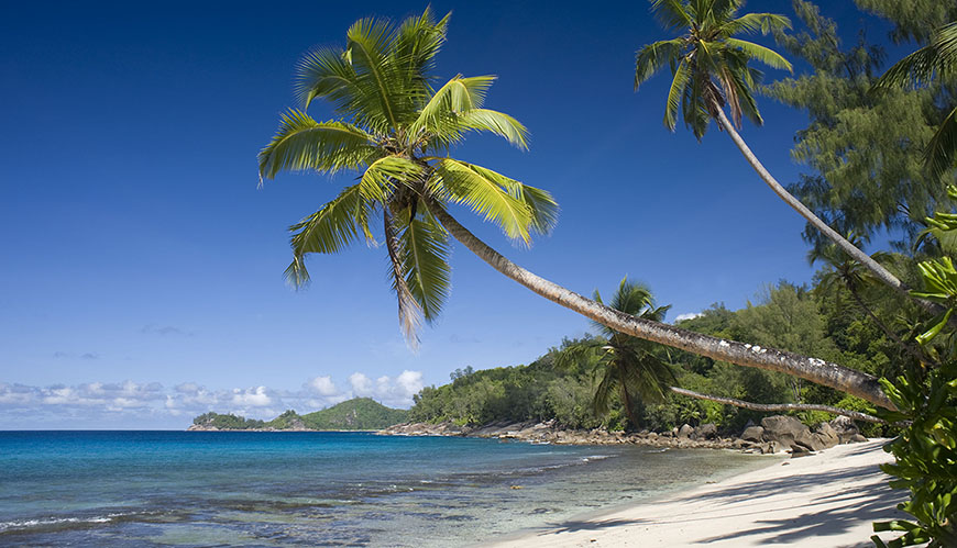 Bild Seychellerna är bäst på marint skydd