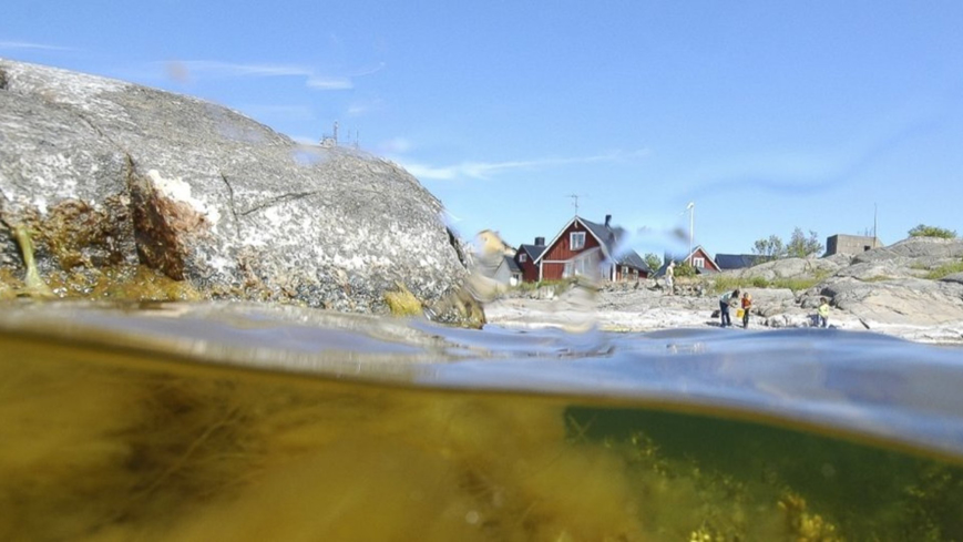 Bild Regeringen planerar ytterligare försvagat strandskydd