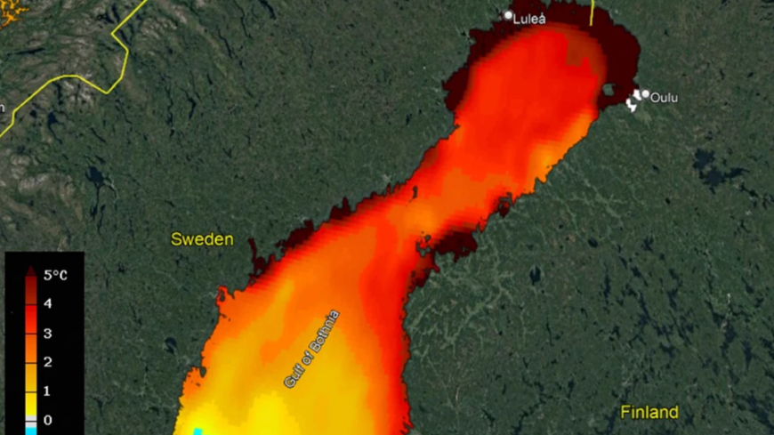 Bild Oroväckande värmebölja i norra Östersjön