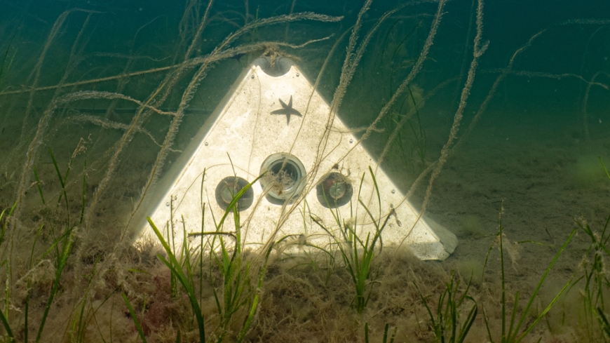 Bild Slow-TV under ytan