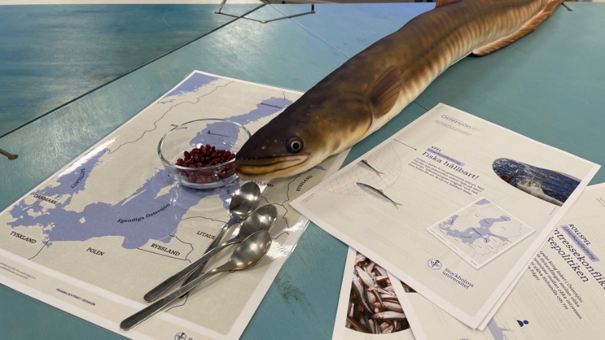 Bild Nytt skolmaterial lyfter miljögifter och fiske