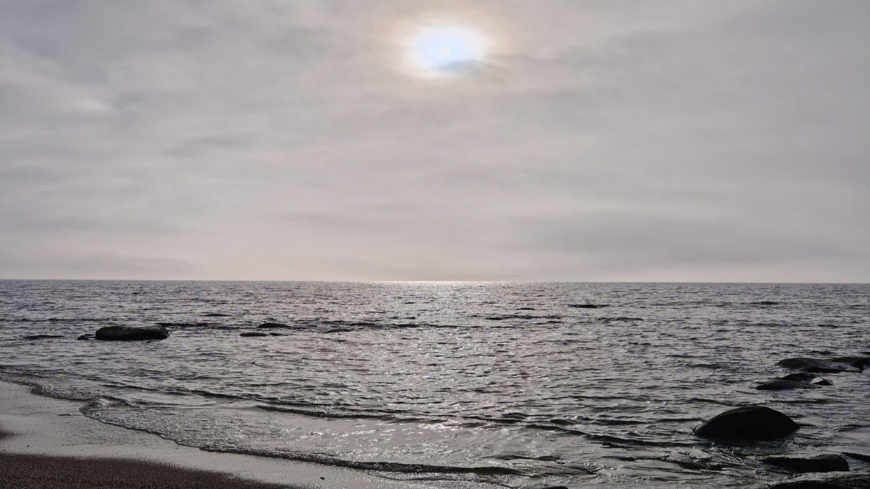 Bild RelRep["article_title"]