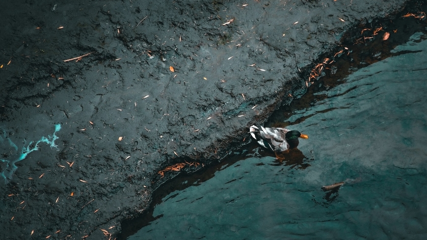 Bild Ny miljöjour för oljeutsläpp