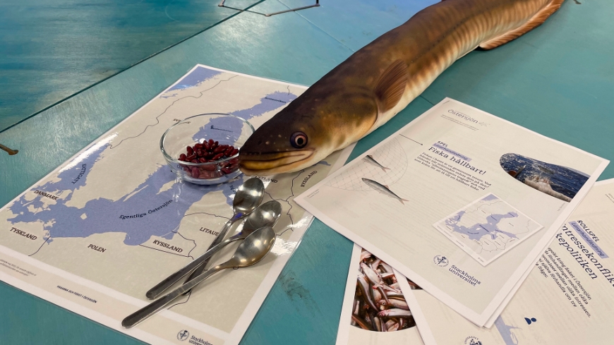 Bild Miljögifter och fiske i Lektionsbanken om Östersjön