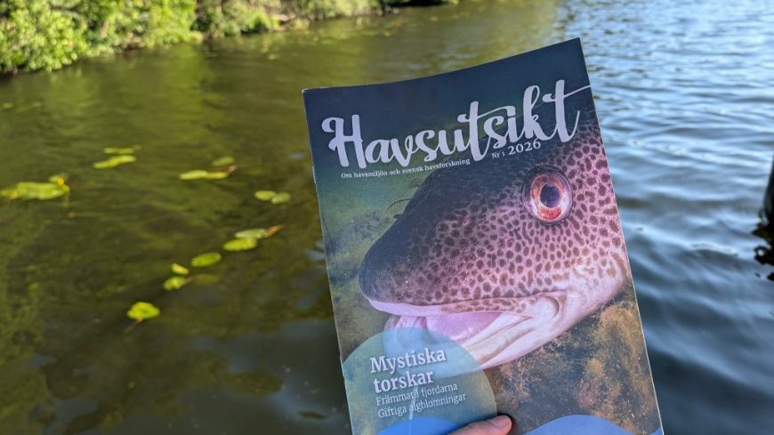 Bild Nytt nummer av Havsutsikt