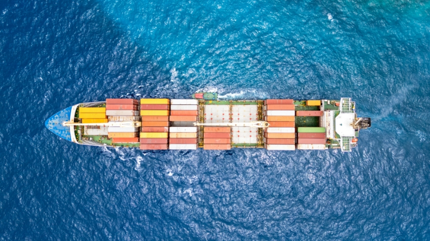 Bild Risk för global artspridning från Hormuz